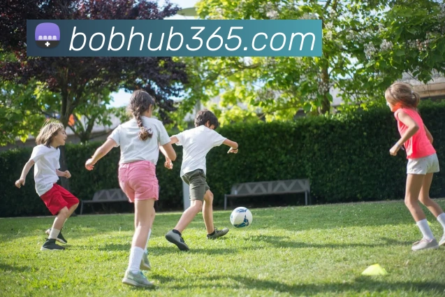 BOB体育品牌故事