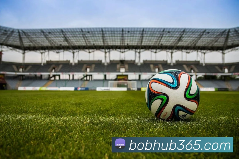 BOB体育服务体系